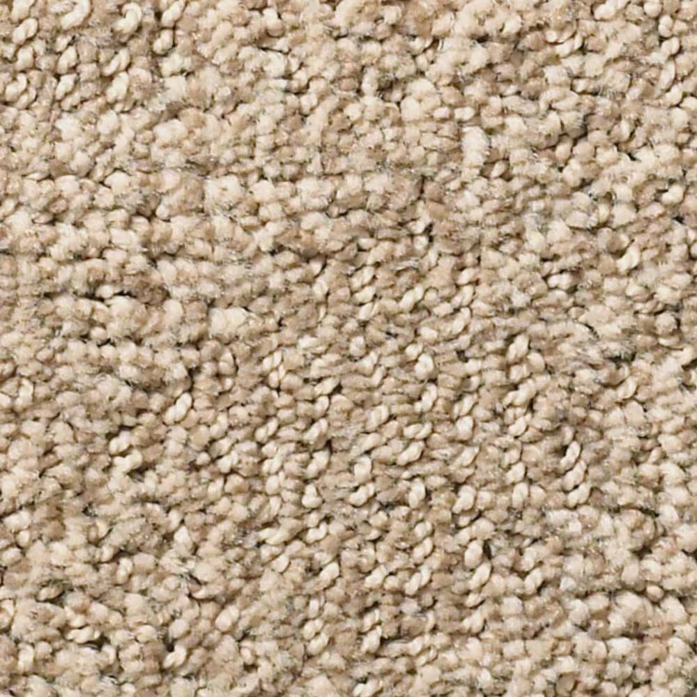 Anderson Tuftex Ario Carpet in Twilight Gold