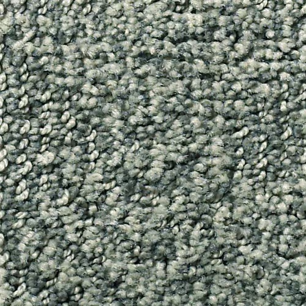 Anderson Tuftex Ario Carpet in Scenic Drive