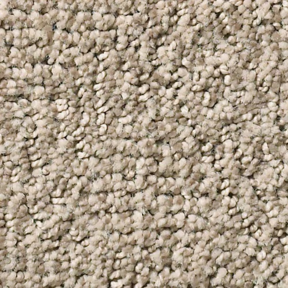 Anderson Tuftex Ario Carpet in Adobe Beige