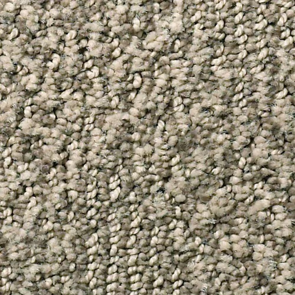 Anderson Tuftex Ario Carpet in Sandlot