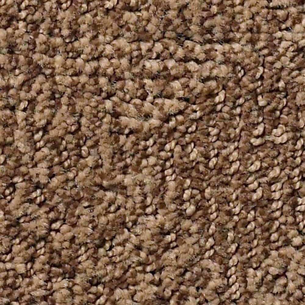 Anderson Tuftex Ario Carpet in Desert Beach