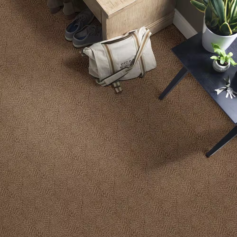 Anderson Tuftex Ario Carpet in Desert Beach