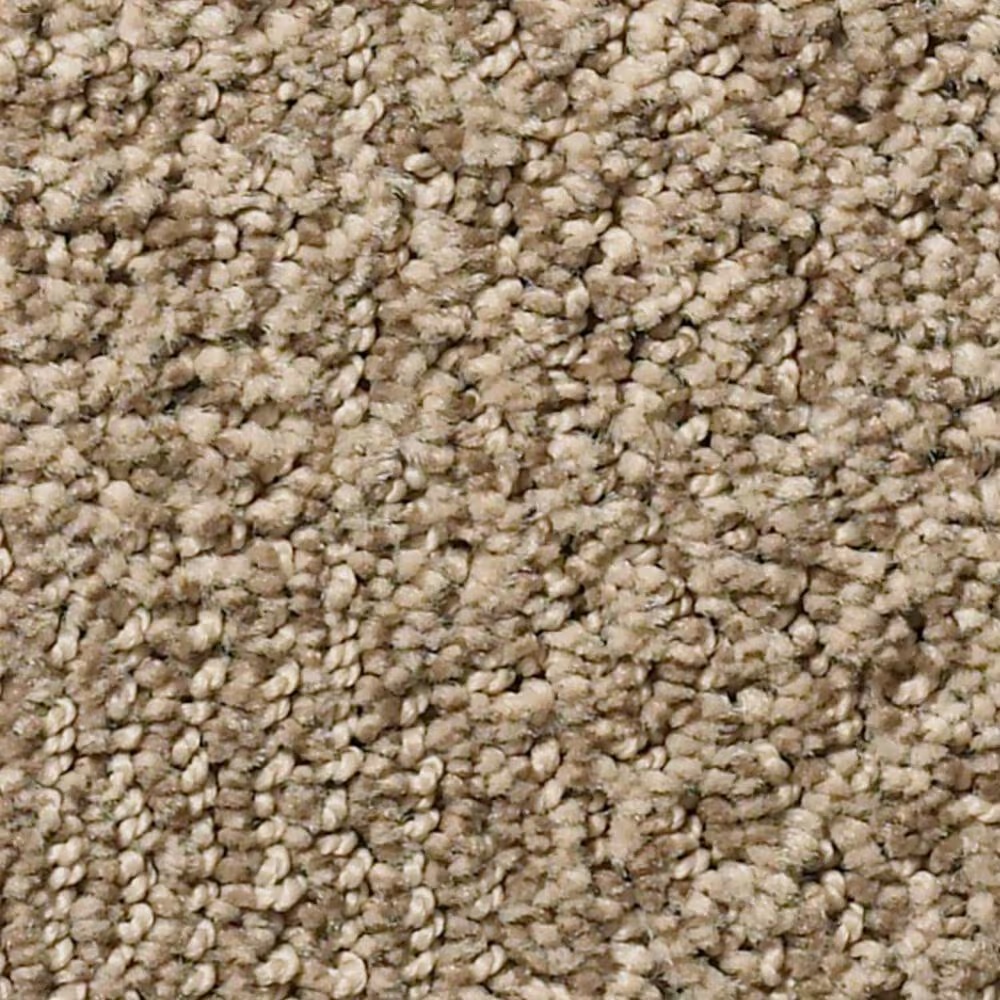 Anderson Tuftex Ario Carpet in Bay Shore