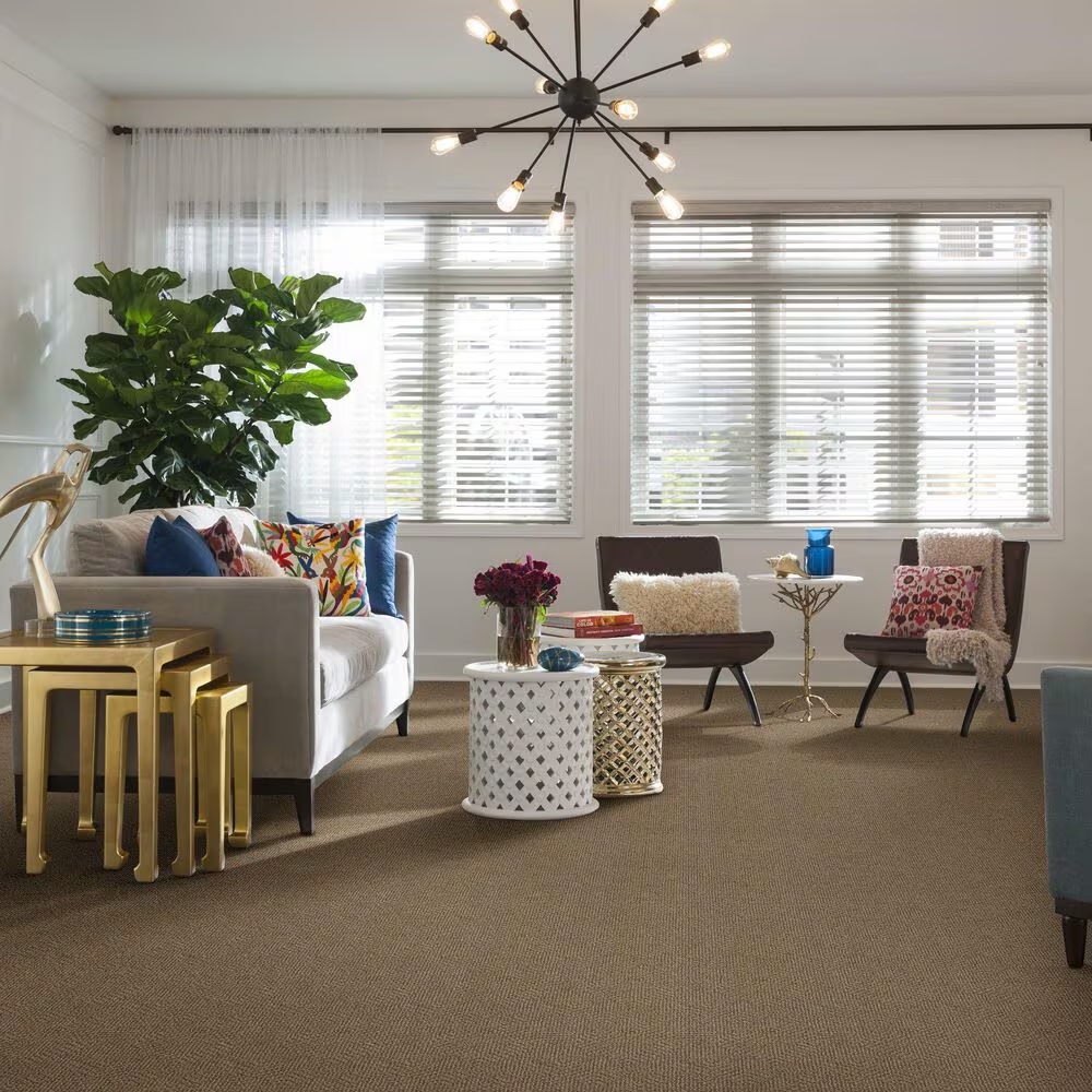 48352-anderson-tuftex-ario-carpet-in-bay-shore-1.jpg