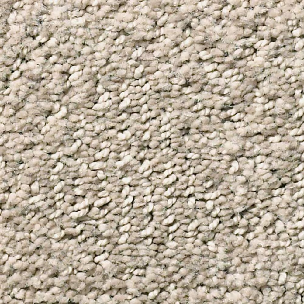 Anderson Tuftex Ario Carpet in Cocoa Sand