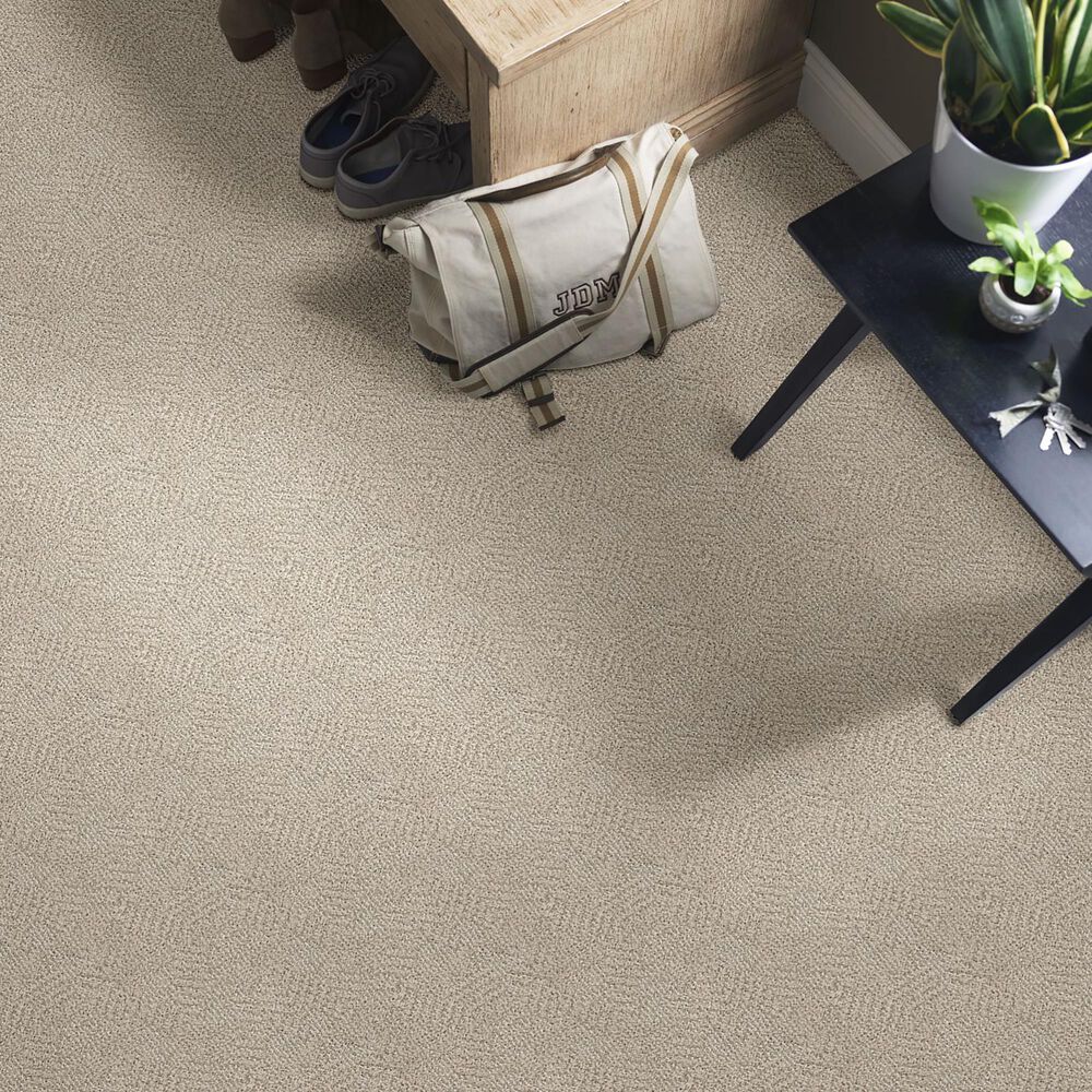 Anderson Tuftex Ario Carpet in Cocoa Sand