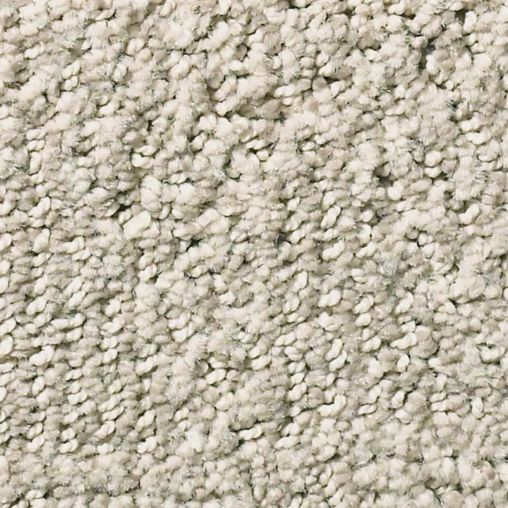 Anderson Tuftex Ario Carpet in Smokey Taupe