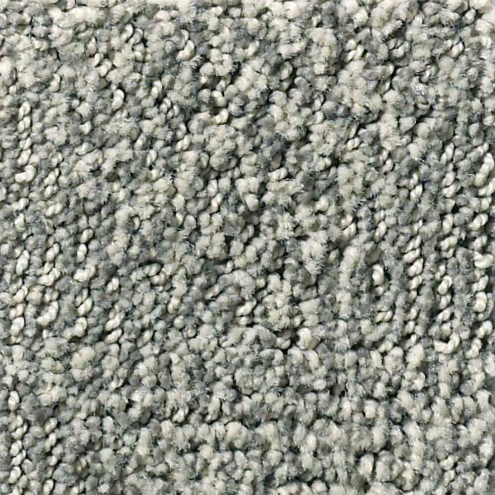 Anderson Tuftex Ario Carpet in Swept Away