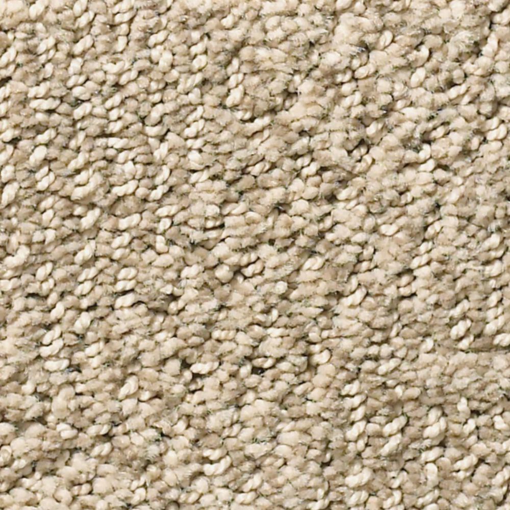 Anderson Tuftex Ario Carpet in Coastal Home