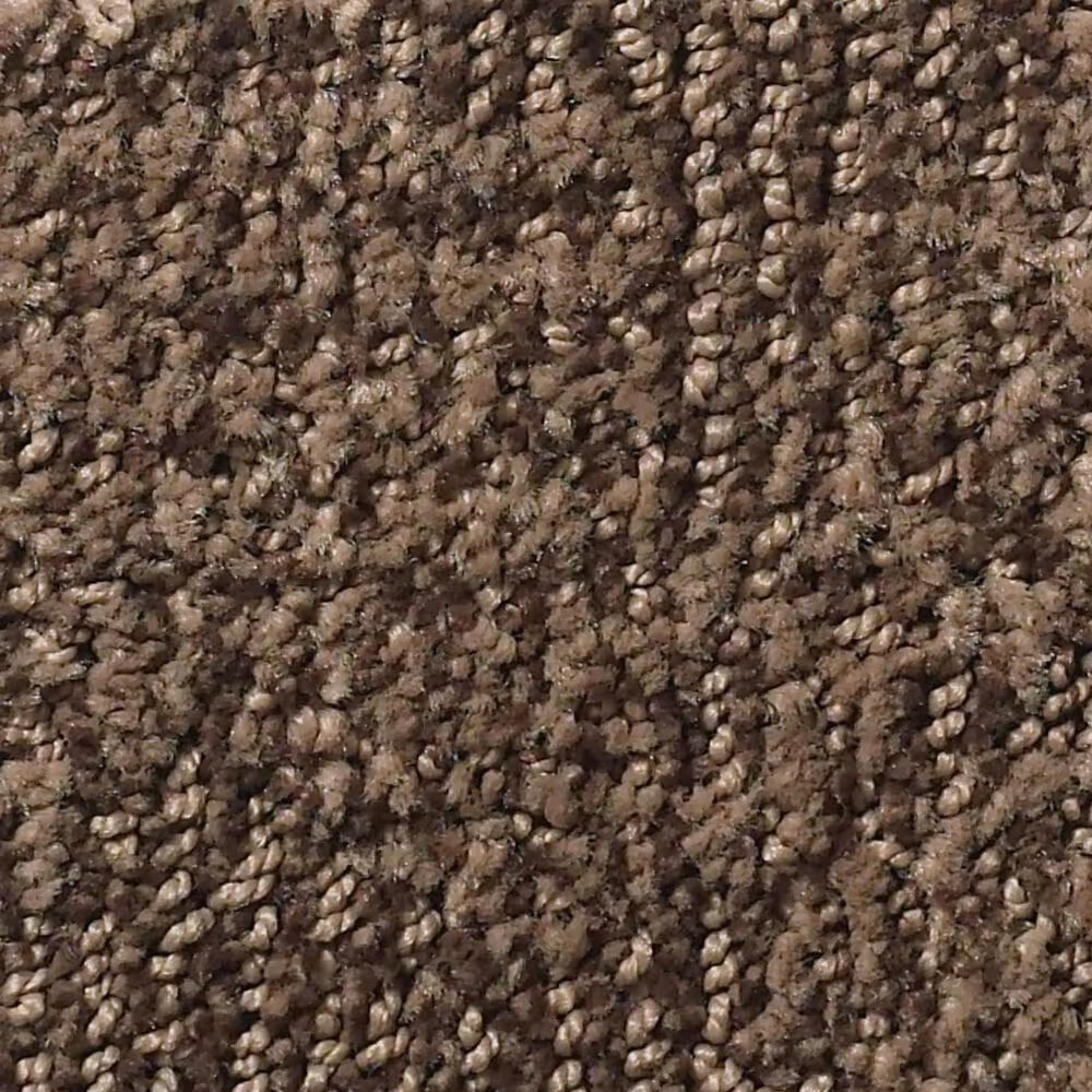 Anderson Tuftex Ario Carpet in Fallen Timber