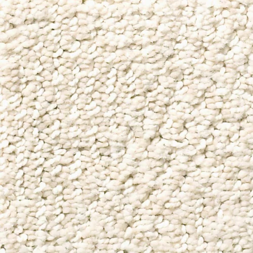 Anderson Tuftex Ario Carpet in Haven