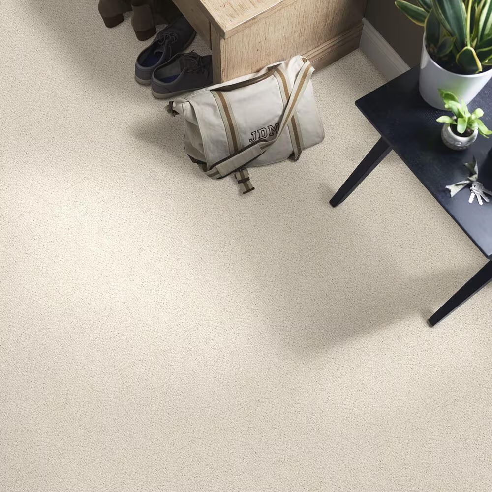 Anderson Tuftex Ario Carpet in Haven