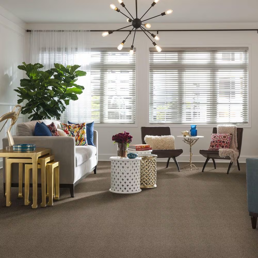 48363-anderson-tuftex-ario-carpet-in-broken-arrow-1.jpg