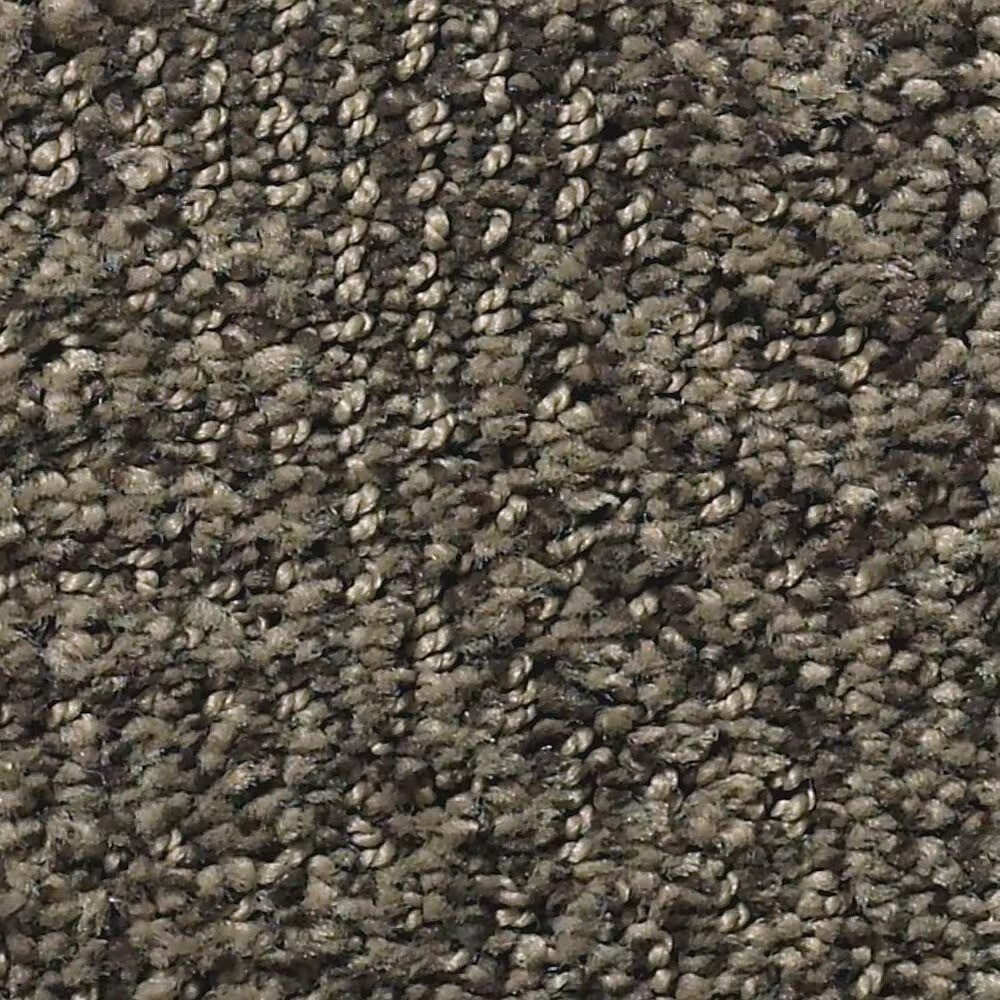 Anderson Tuftex Ario Carpet in Apparition