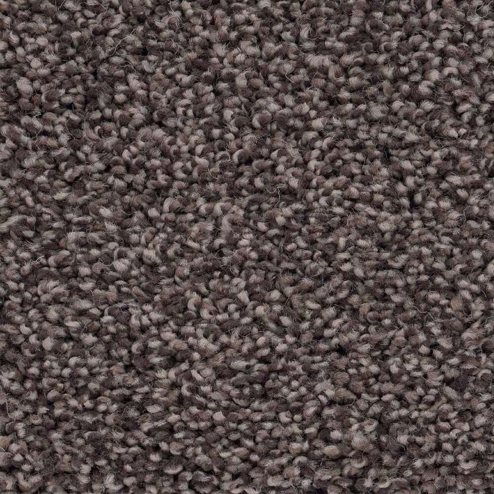 Anderson Tuftex Caress Cozy Harbor I Carpet in Burma Brown