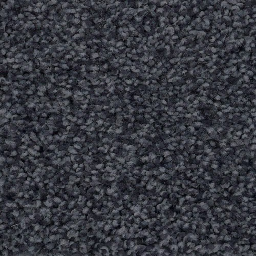 Anderson Tuftex Caress Cozy Harbor I Carpet in Deep Sea