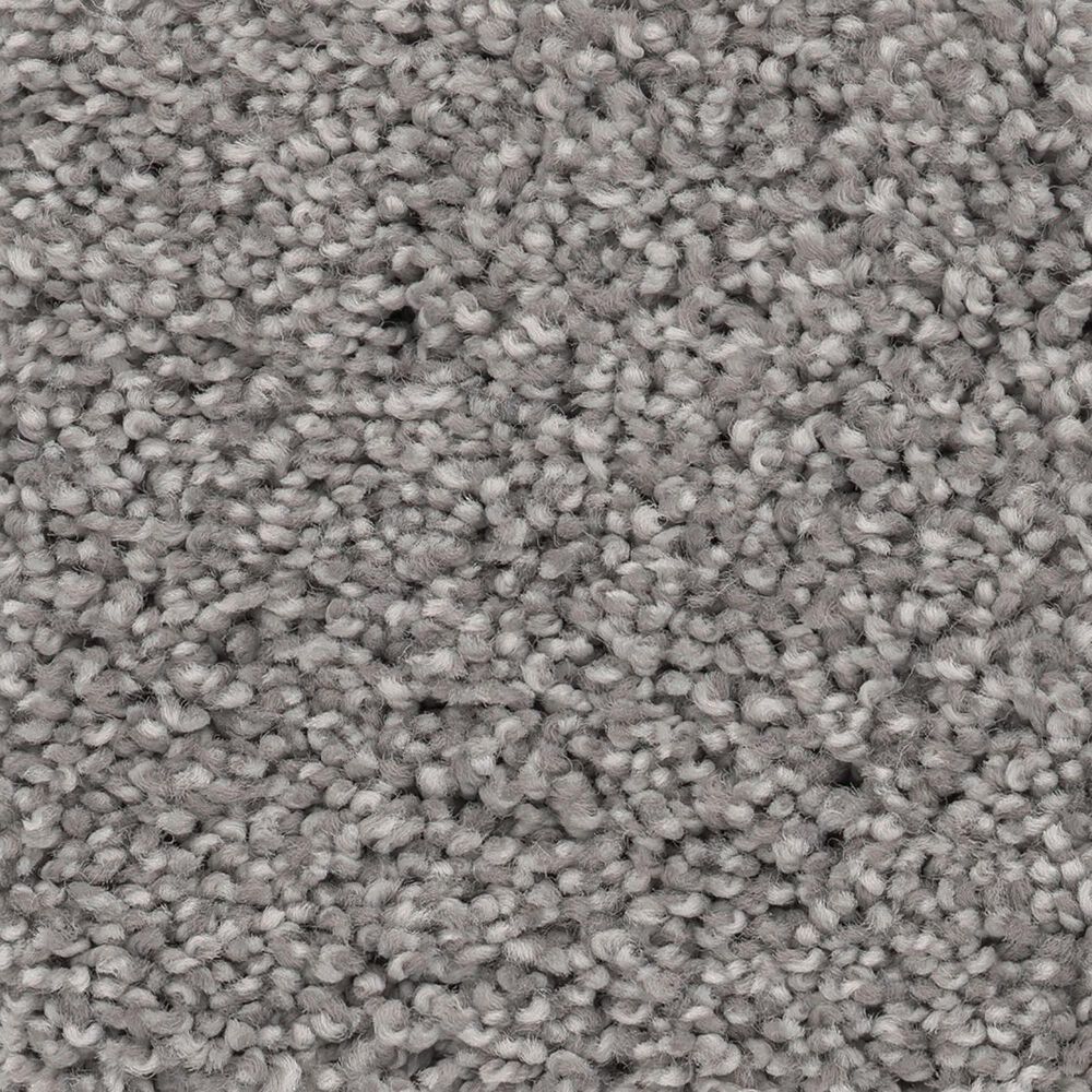 Anderson Tuftex Caress Cozy Harbor I Carpet in Grounded Gray