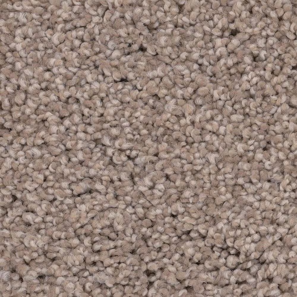 Anderson Tuftex Caress Cozy Harbor I Carpet in Natural Beauty