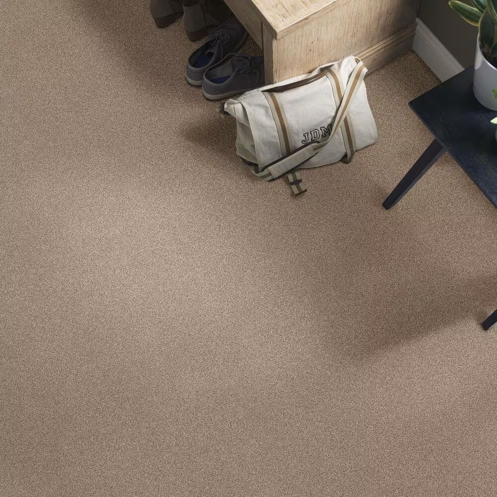 48460-anderson-tuftex-caress-cozy-harbor-i-carpet-in-natural-beauty-1.jpg