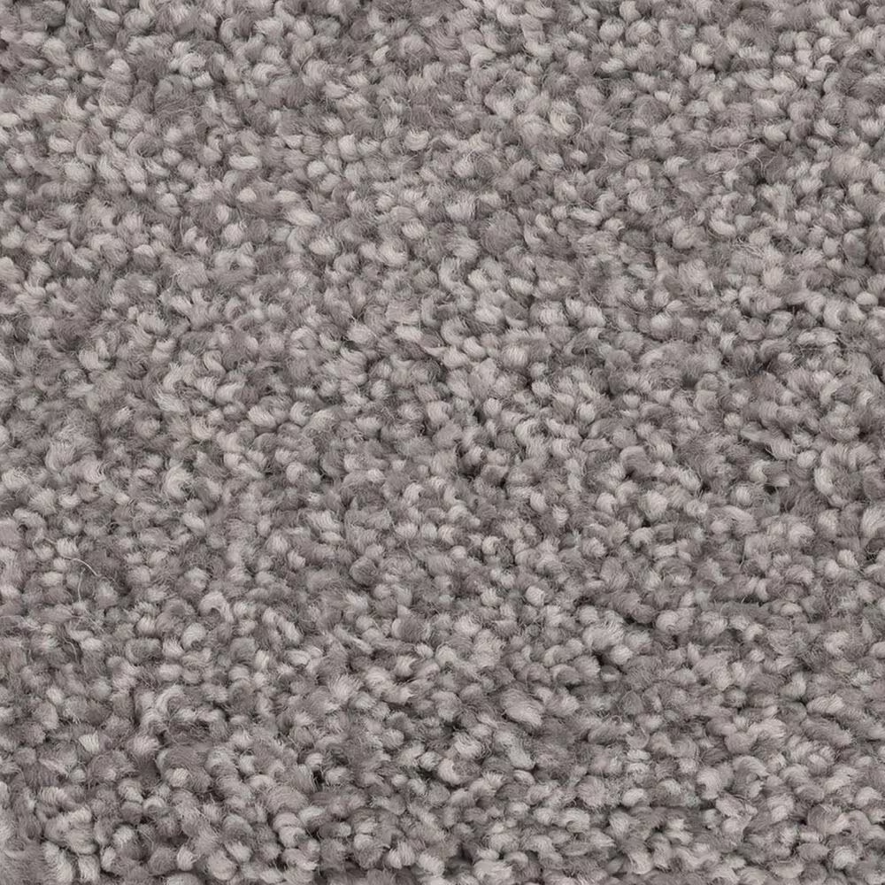 Anderson Tuftex Caress Cozy Harbor I Carpet in Well Traveled