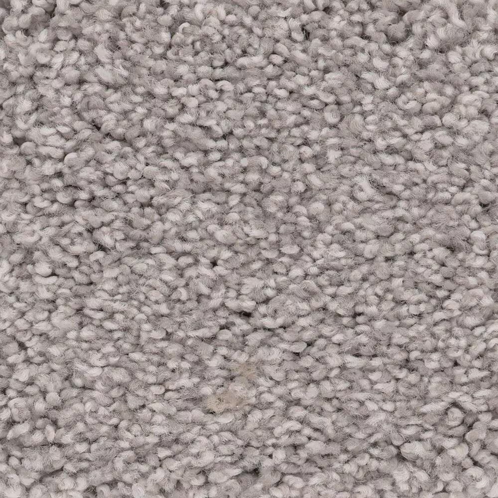 Anderson Tuftex Caress Cozy Harbor I Carpet in Cold Winter