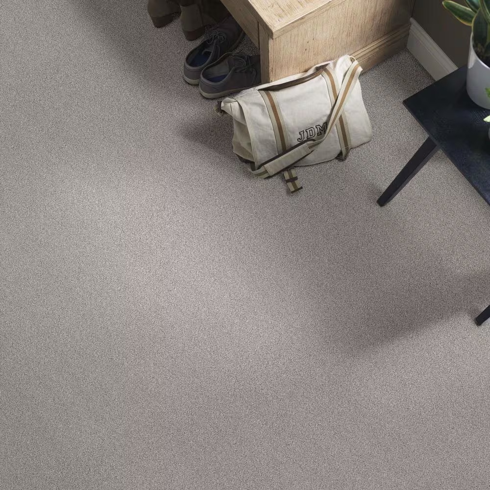 48462-anderson-tuftex-caress-cozy-harbor-i-carpet-in-cold-winter-1.jpg