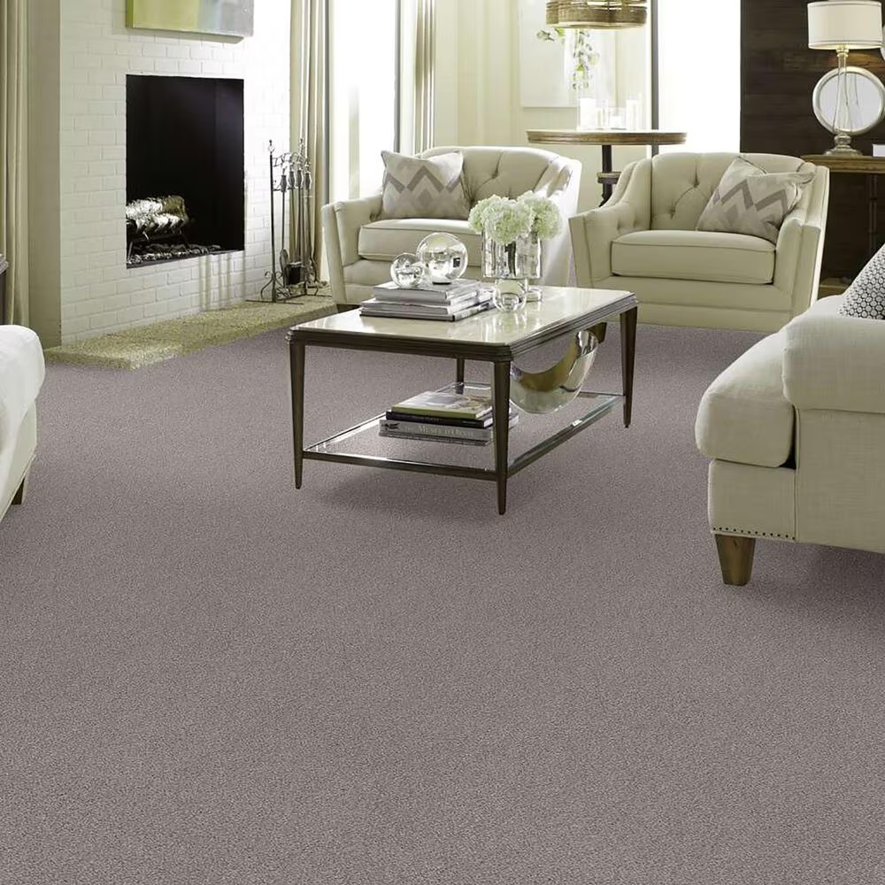 48462-anderson-tuftex-caress-cozy-harbor-i-carpet-in-cold-winter-1.jpg