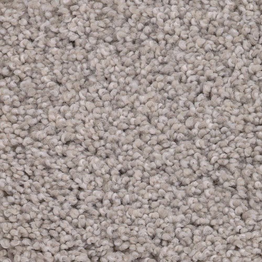 Anderson Tuftex Caress Cozy Harbor I Carpet in Crochet