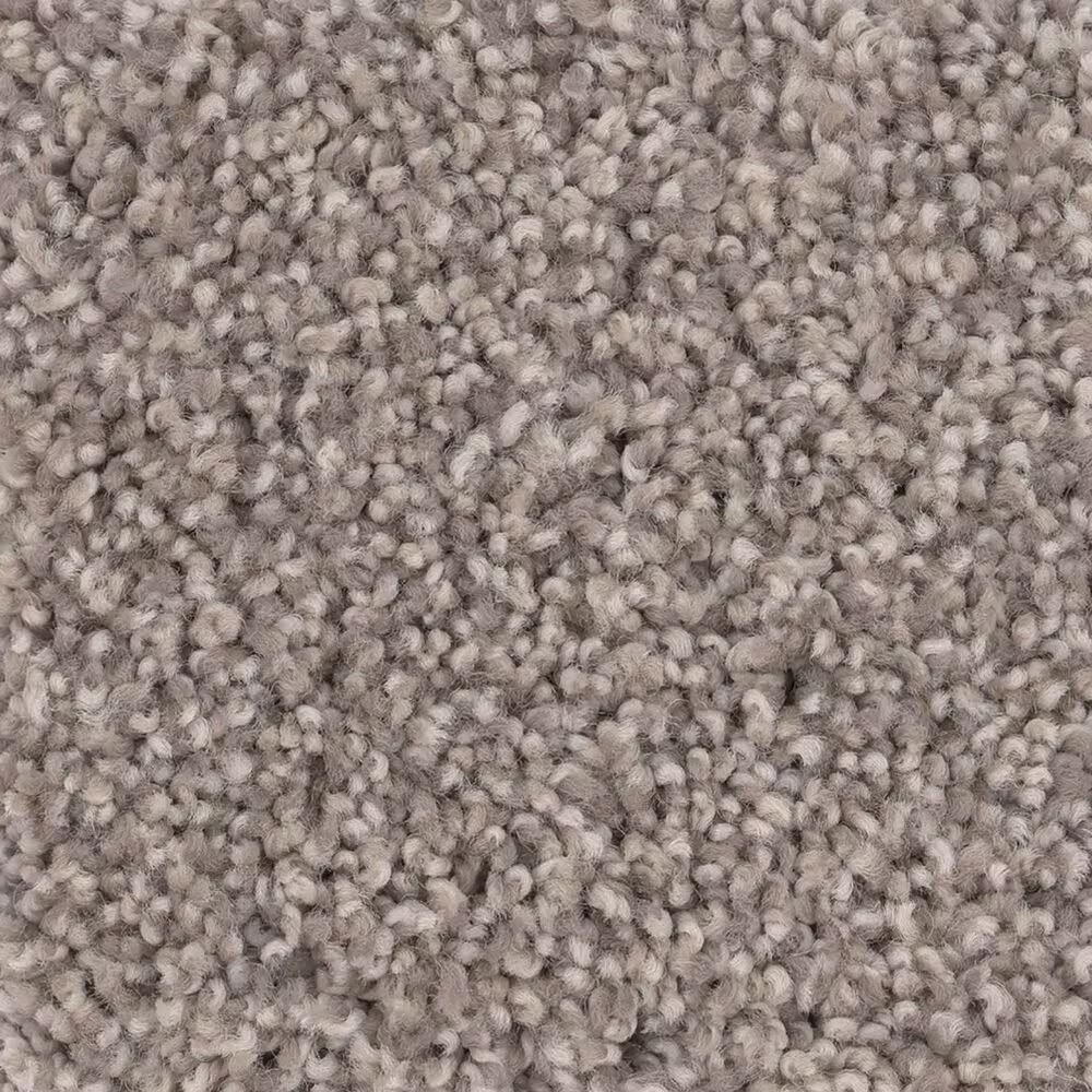 Anderson Tuftex Caress Cozy Harbor I Carpet in Stucco