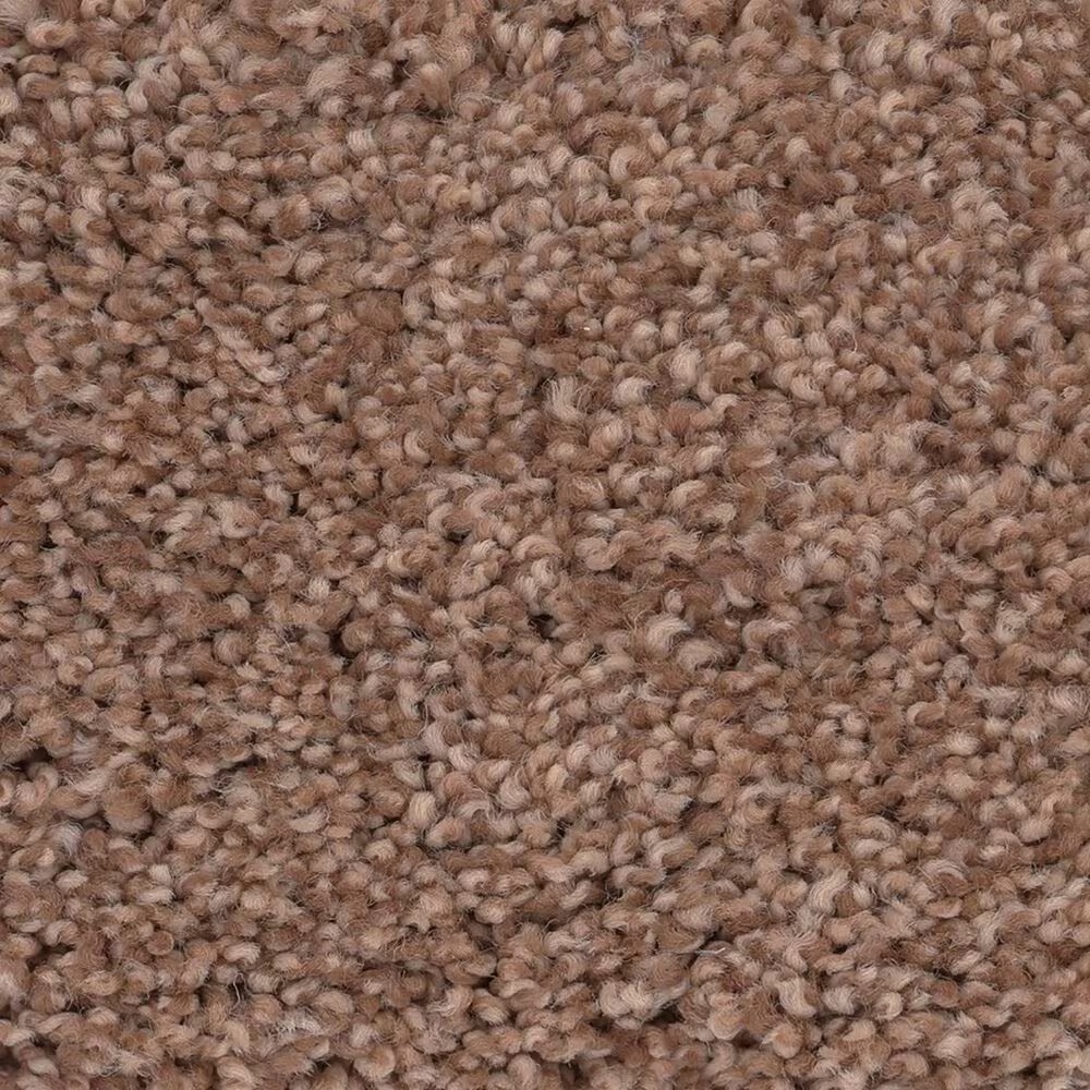 Anderson Tuftex Caress Cozy Harbor I Carpet in Sunbaked