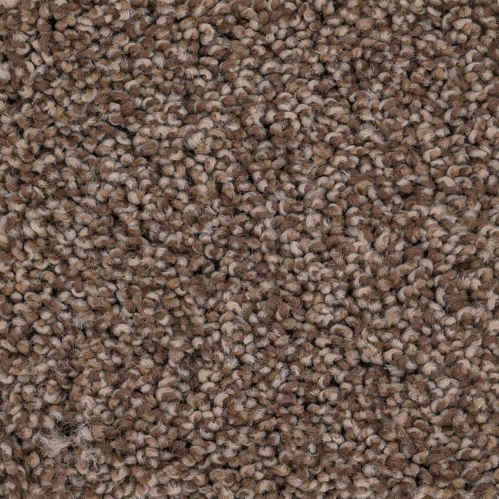 Anderson Tuftex Caress Cozy Harbor I Carpet in Raw Wood