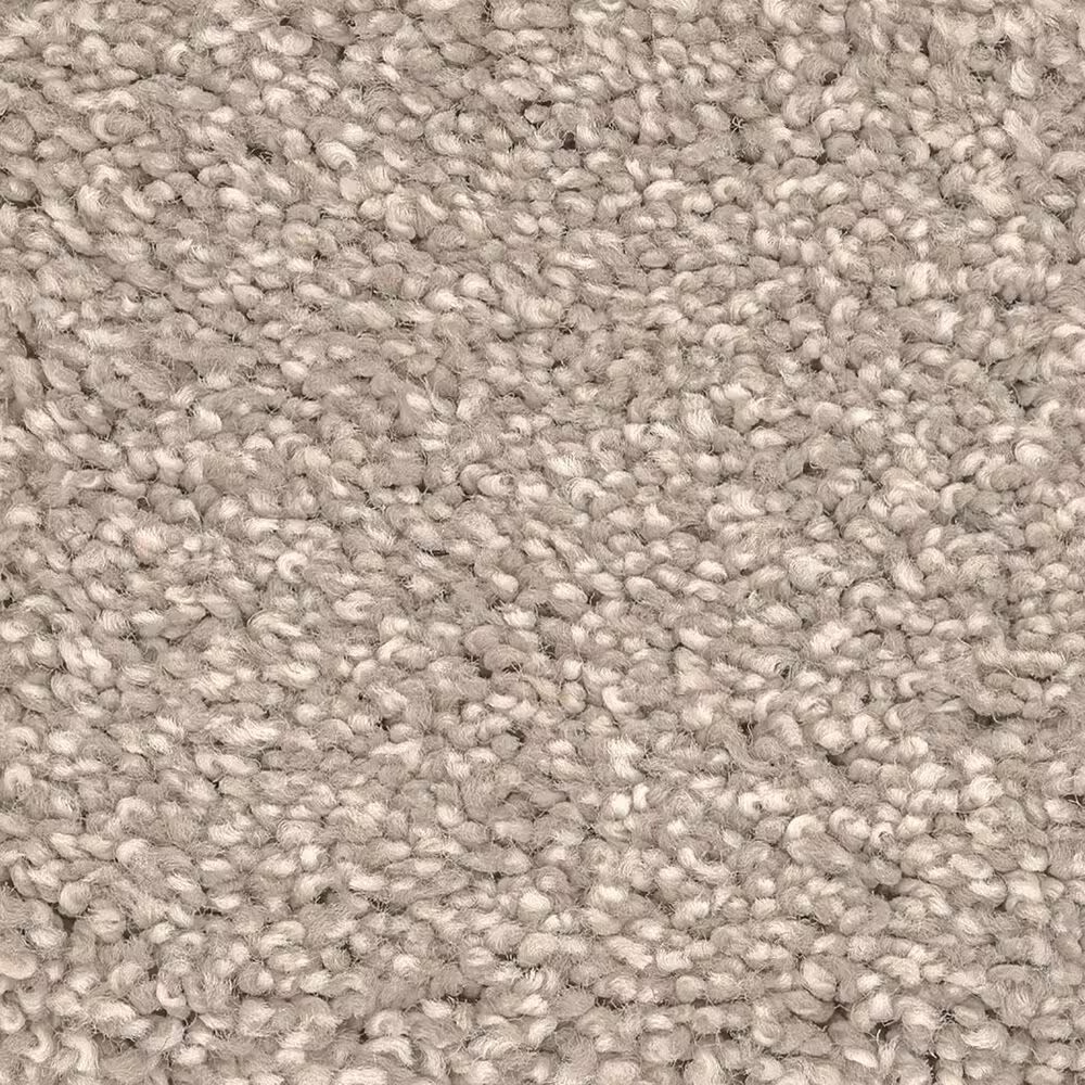 Anderson Tuftex Caress Cozy Harbor I Carpet in Sandstone