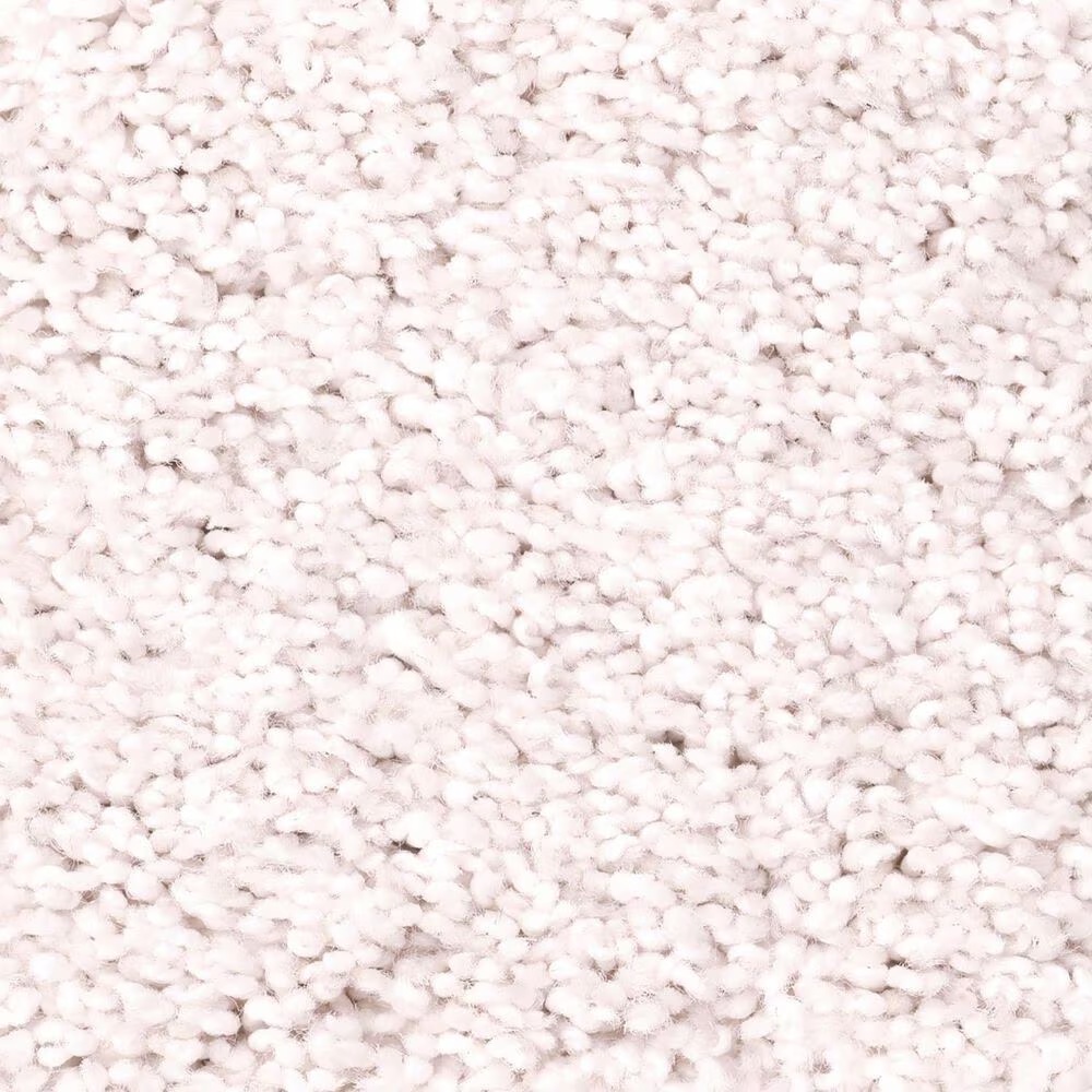Anderson Tuftex Caress Cozy Harbor I Carpet in Snowfall