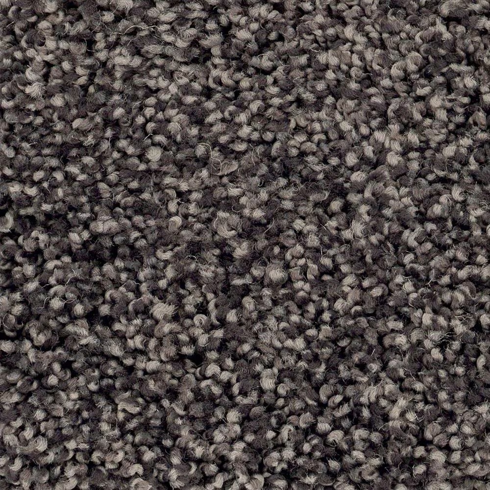 Anderson Tuftex Caress Cozy Harbor I Carpet in Wrought Iron