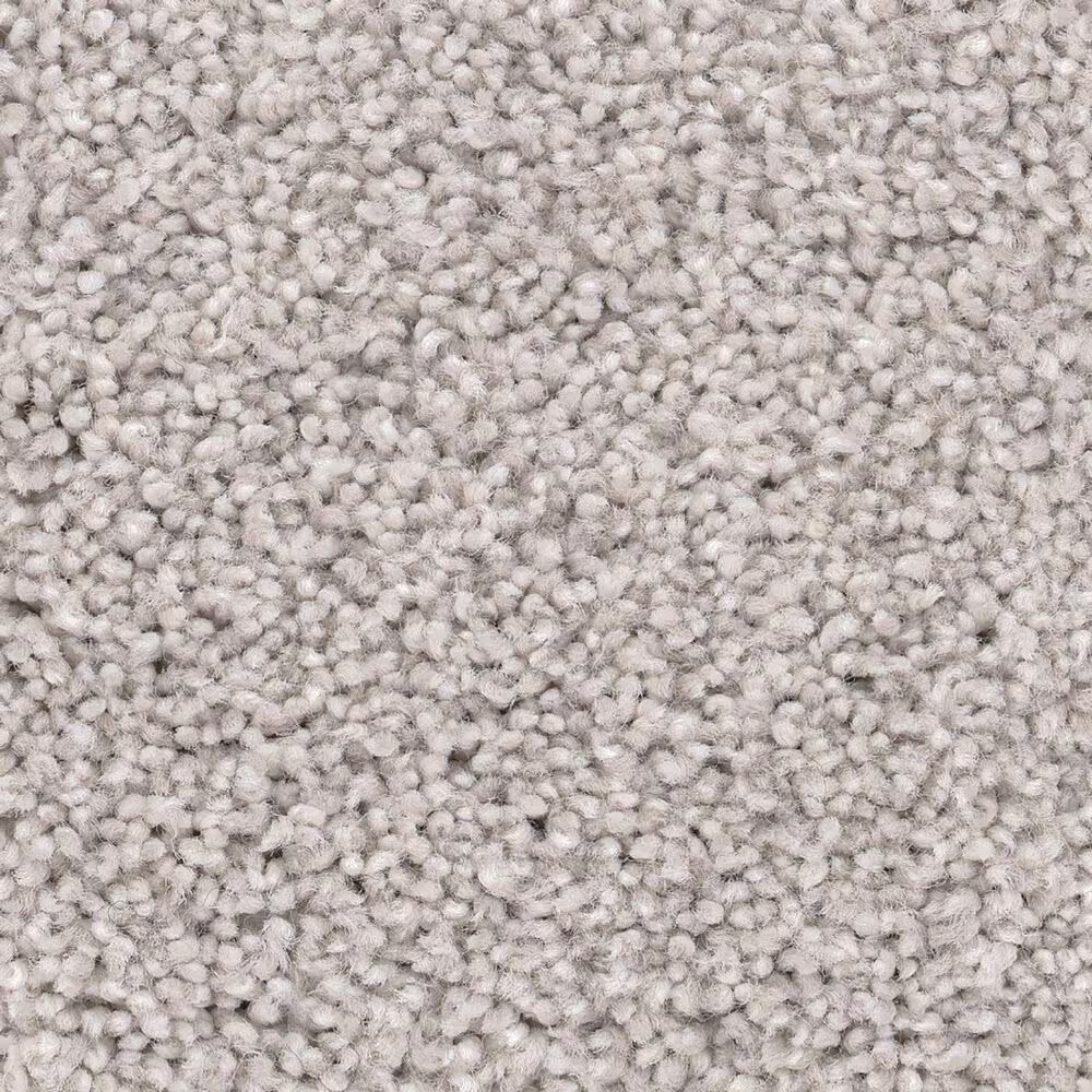 Anderson Tuftex Caress Cozy Harbor I Carpet in Minimal