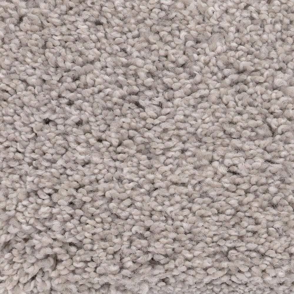 Anderson Tuftex Caress Cozy Harbor I Carpet in Baltic Stone