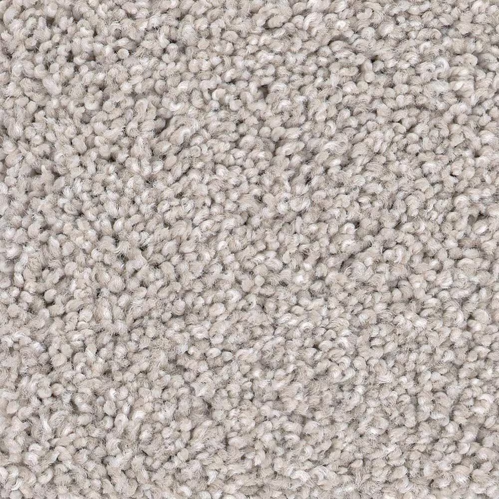 Anderson Tuftex Caress Cozy Harbor I Carpet in Thoughtful