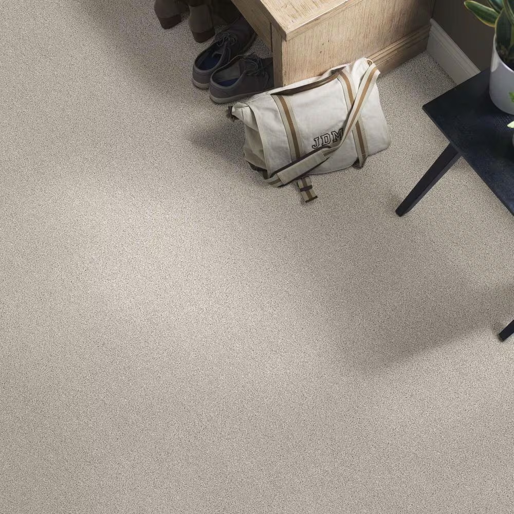 48478-anderson-tuftex-caress-cozy-harbor-i-carpet-in-thoughtful-1.jpg
