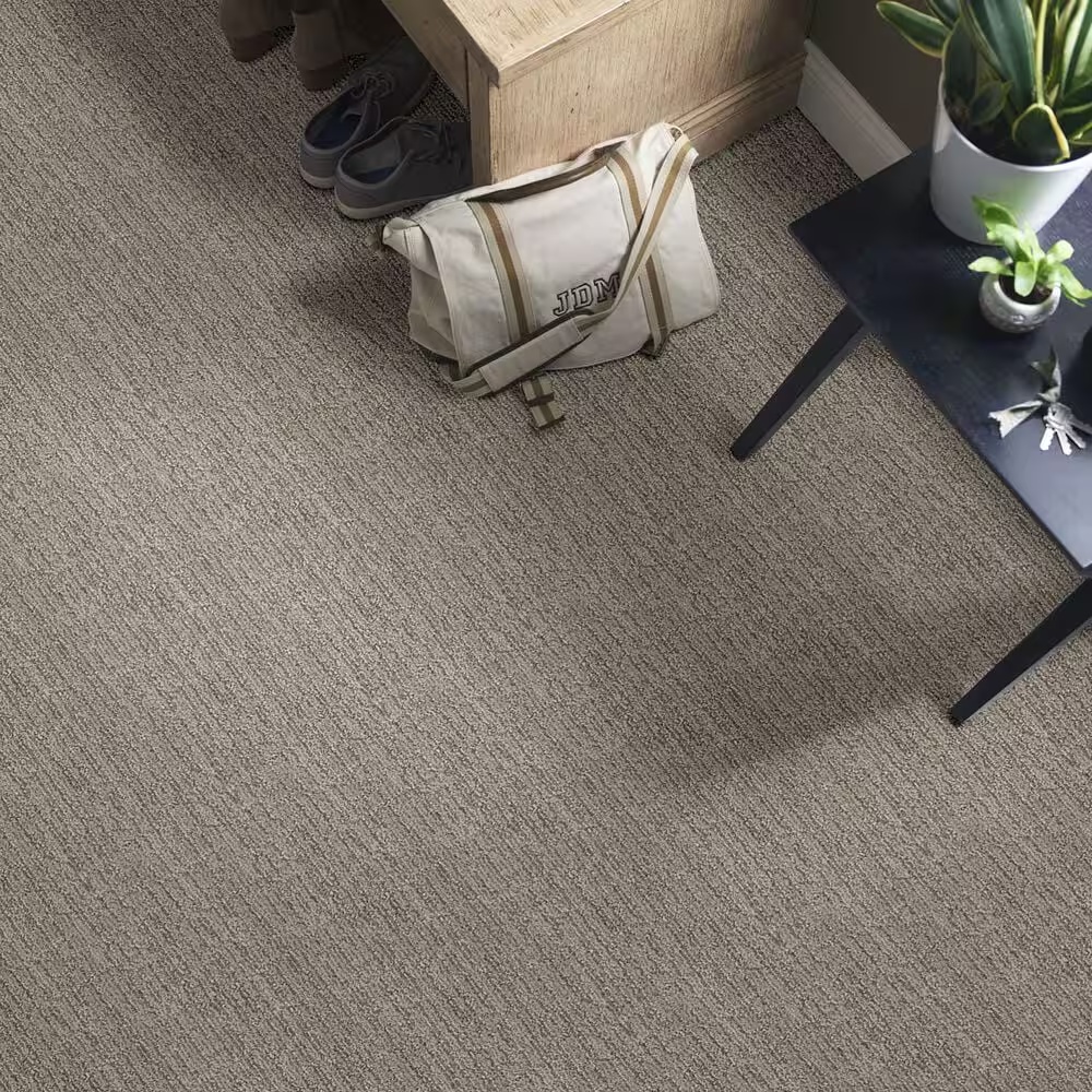 48480-anderson-tuftex-wanderer-carpet-in-horizon-1.jpg