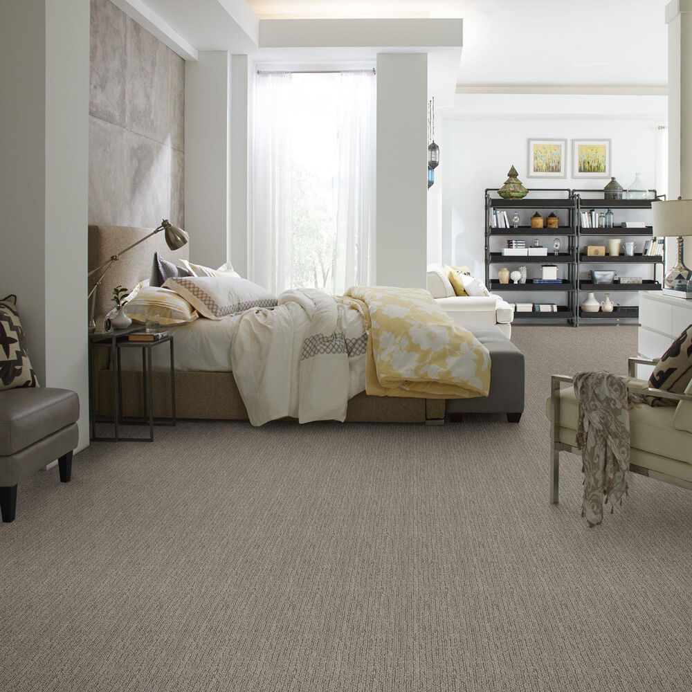 48480-anderson-tuftex-wanderer-carpet-in-horizon-1.jpg