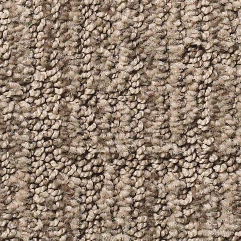 Shaw Wanderer Carpet in Driftwood