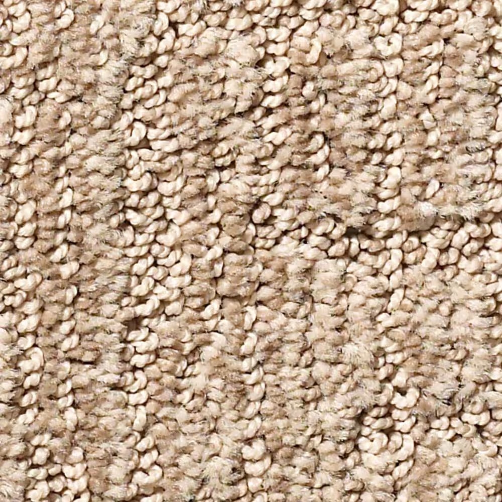 Shaw Wanderer Carpet in Arizona Tan