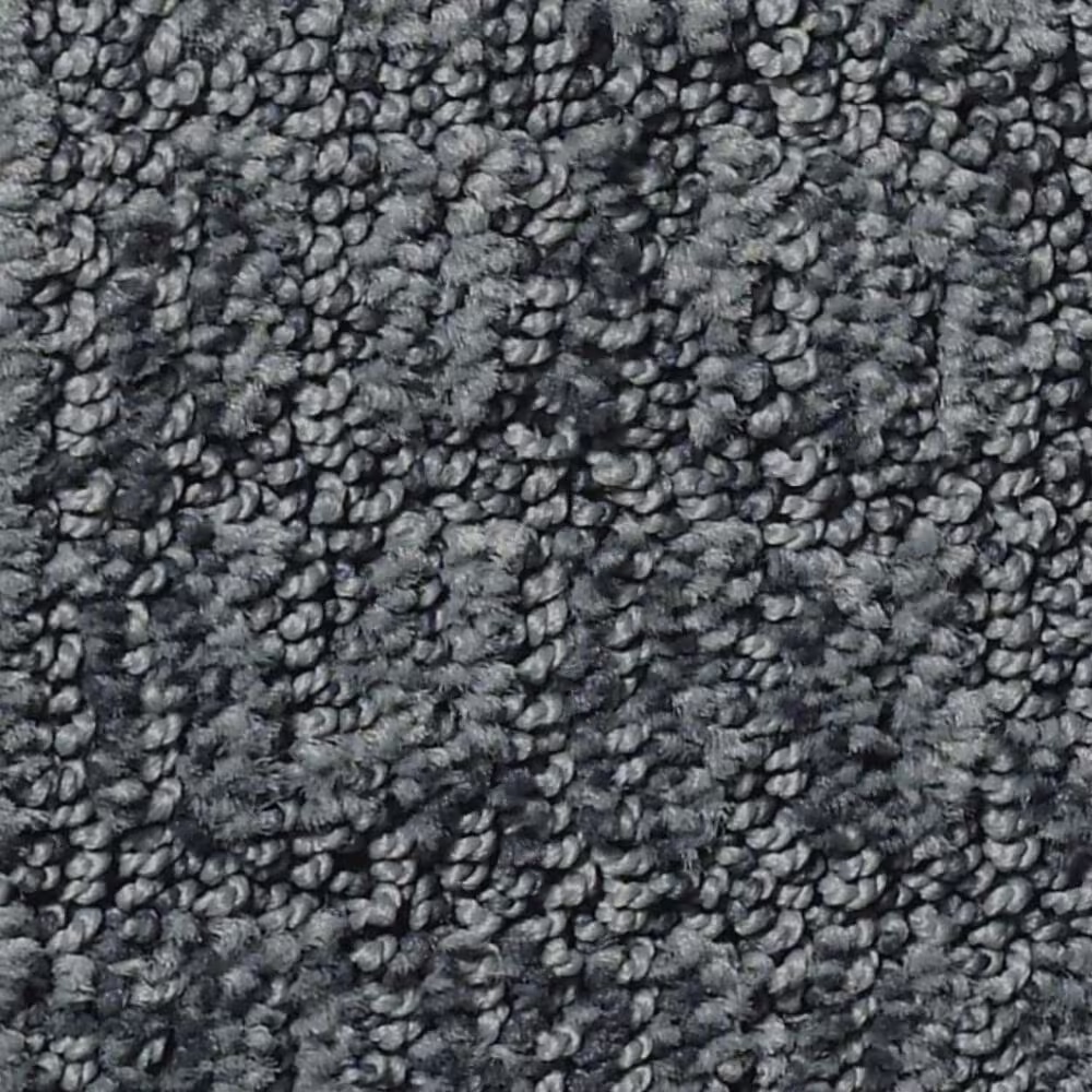 Shaw Wanderer Carpet in Stratton