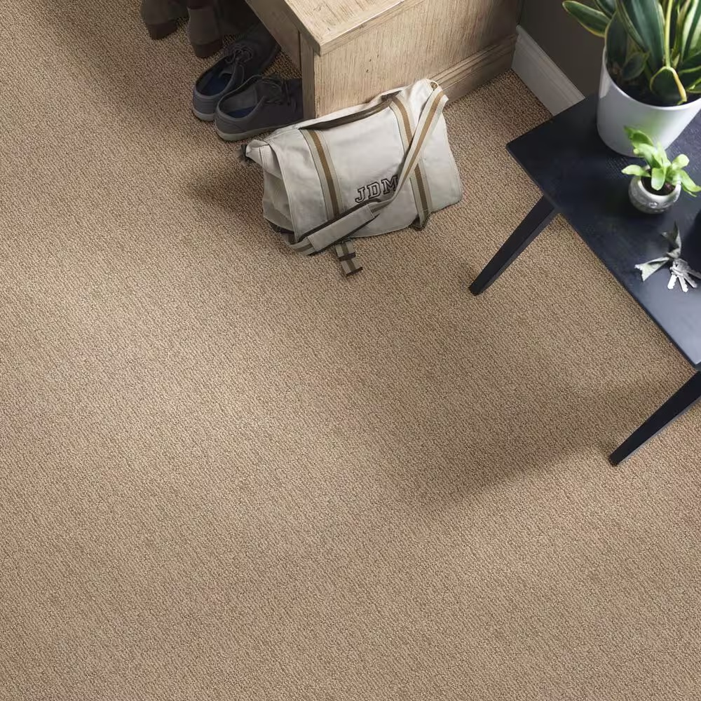 48489-anderson-tuftex-wanderer-carpet-in-peanut-shell-1.jpg