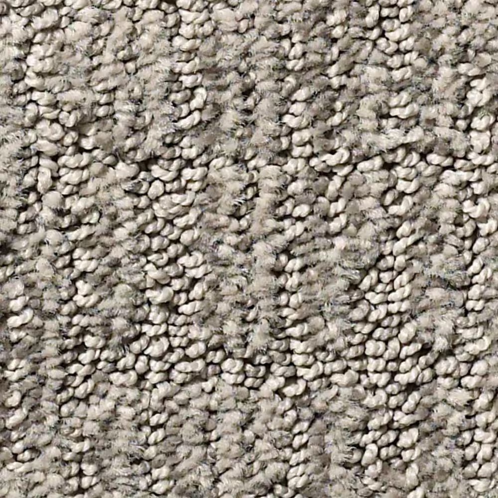 Anderson Tuftex Wanderer Carpet in Moonshine