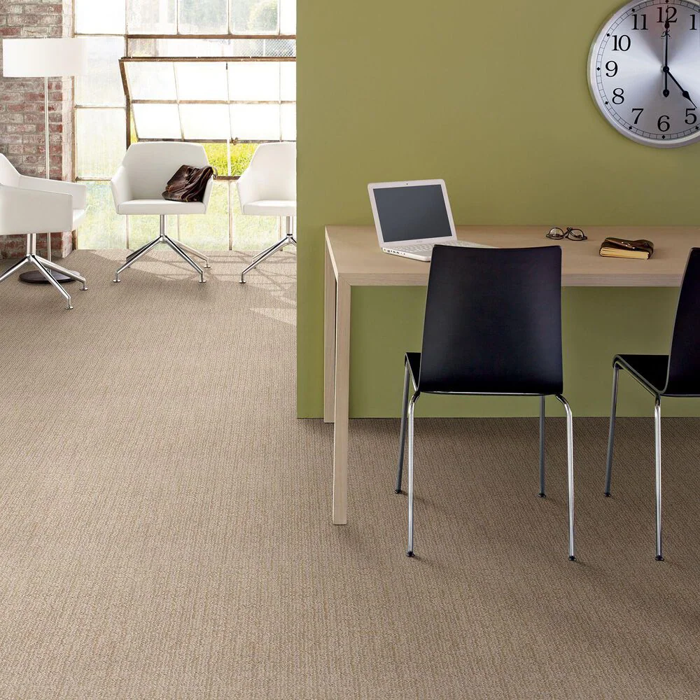 48500-shaw-wanderer-carpet-in-sunlight-1.jpg