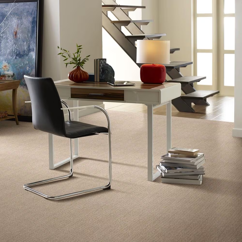 48500-shaw-wanderer-carpet-in-sunlight-1.jpg
