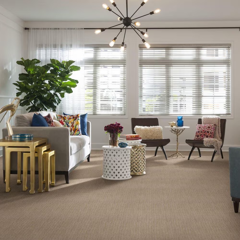48500-shaw-wanderer-carpet-in-sunlight-1.jpg