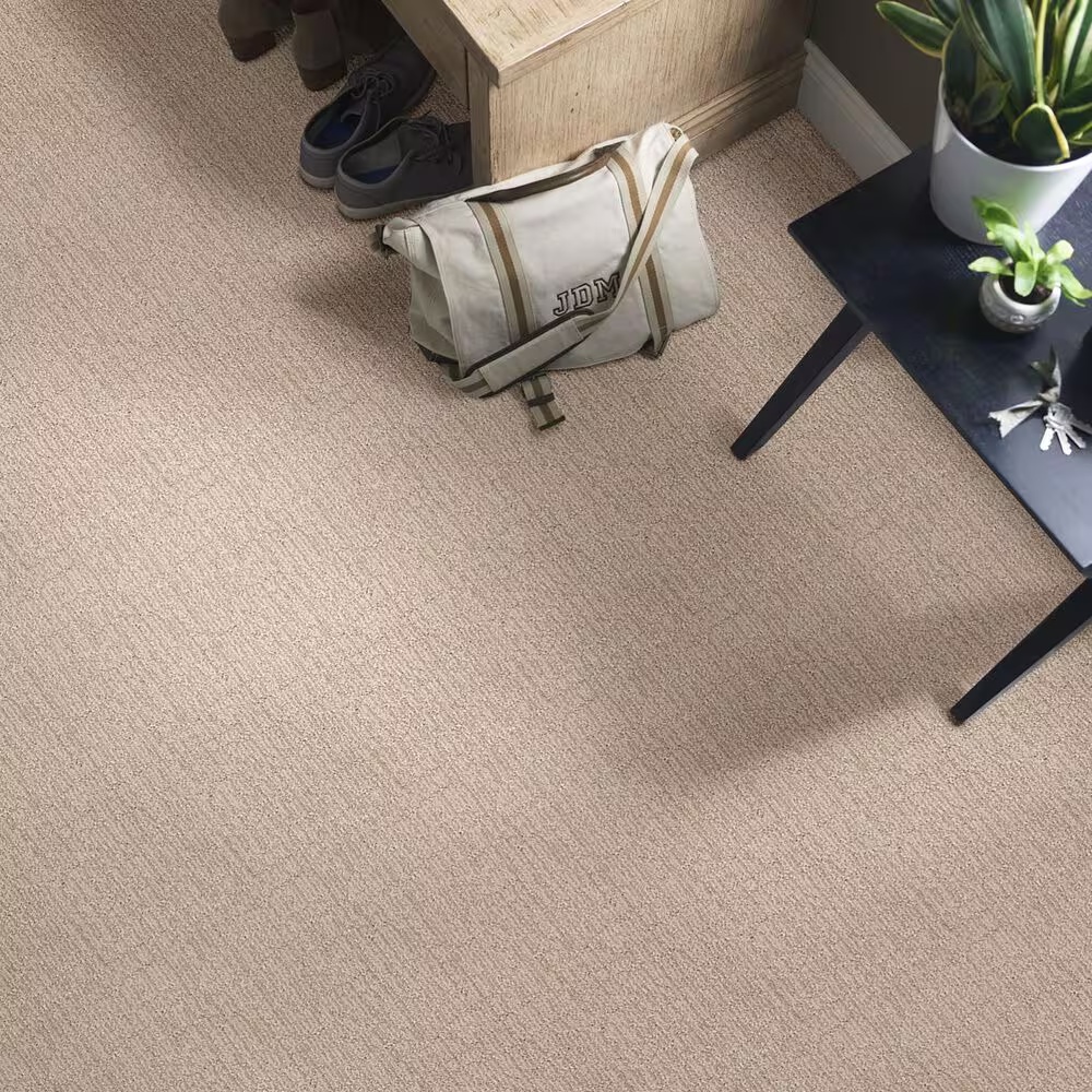 48501-shaw-wanderer-carpet-in-mystic-beige-1.jpg