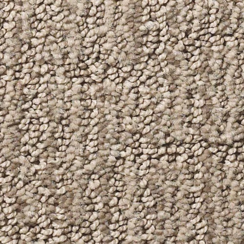 Anderson Tuftex Wanderer Carpet in Plains